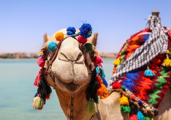 Туризм в Египте