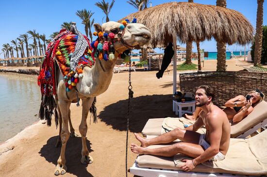 Туризм в Египте