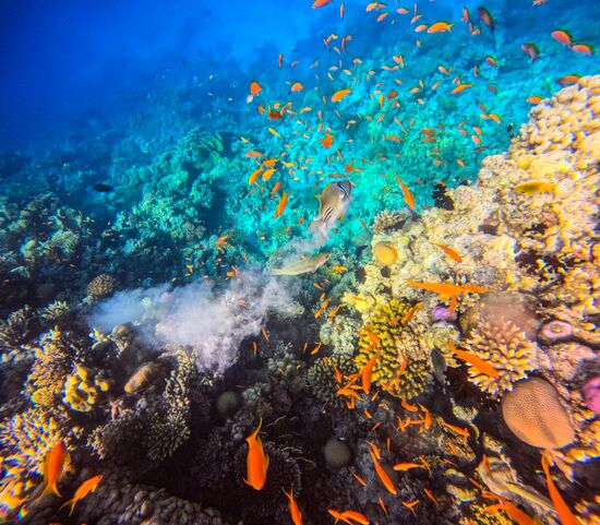 Туризм в Египте