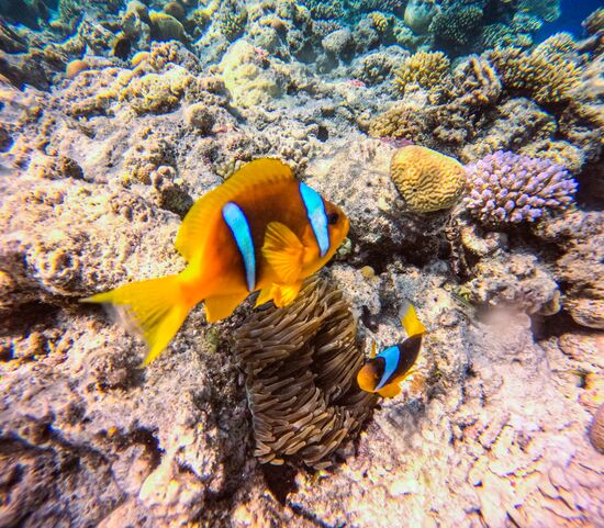 Туризм в Египте