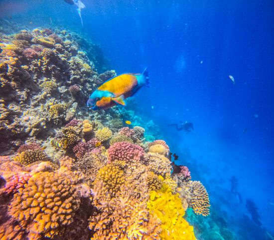 Туризм в Египте