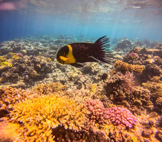 Туризм в Египте