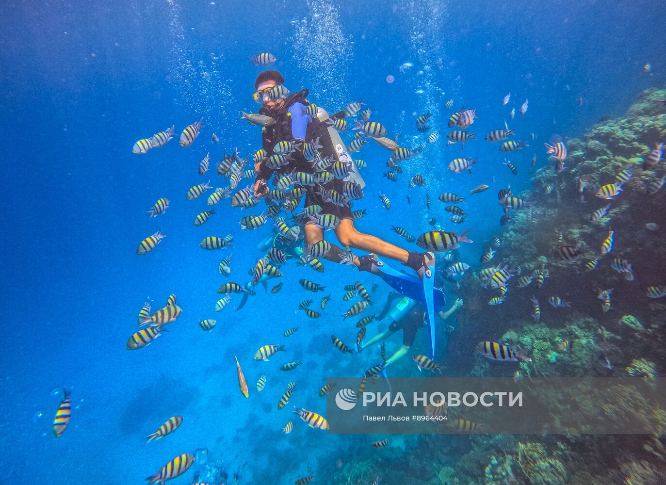 Туризм в Египте