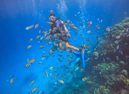 Туризм в Египте