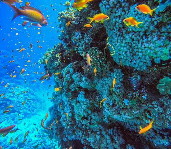 Туризм в Египте