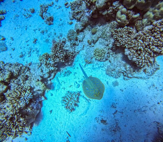 Туризм в Египте