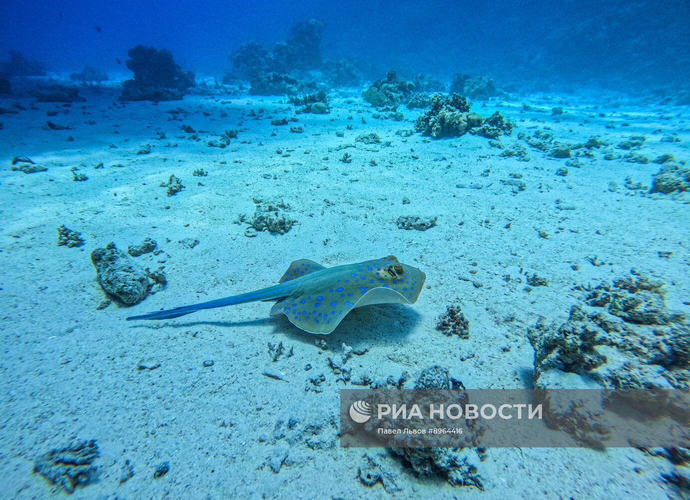 Туризм в Египте