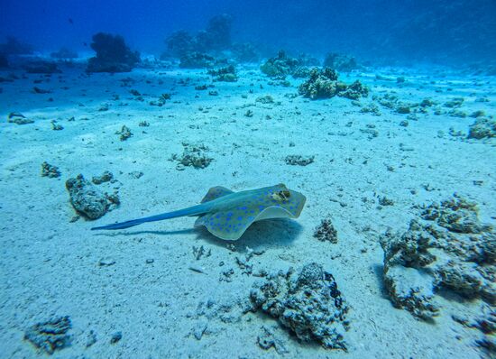 Туризм в Египте