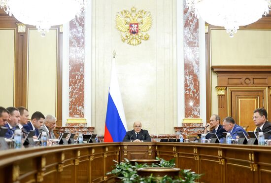 Премьер-министр Михаил Мишустин провел заседание правительства РФ