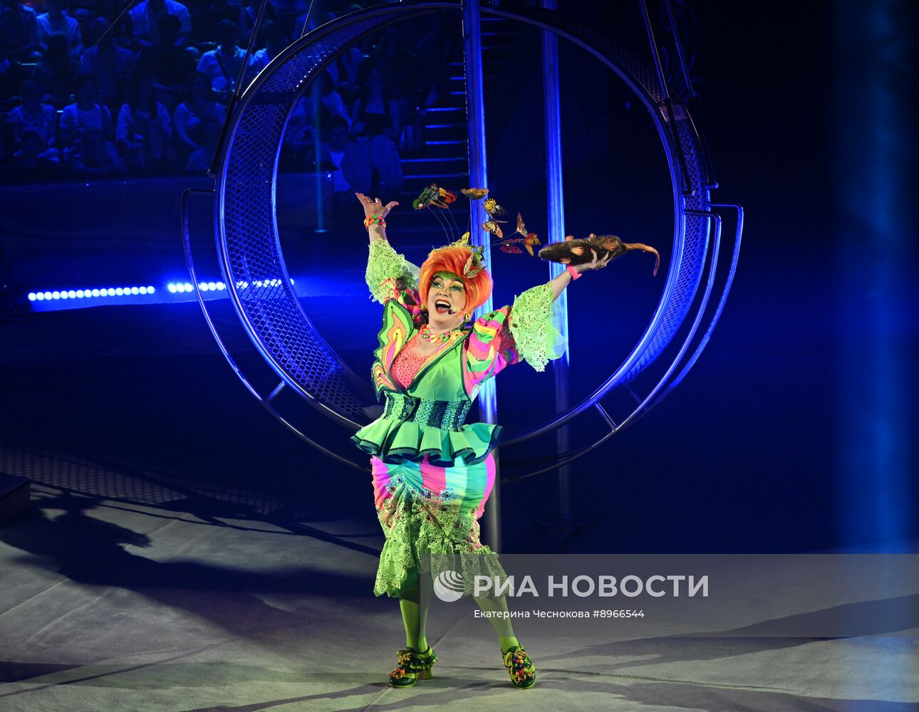 Международный фестиваль циркового искусства "Идол-2025"