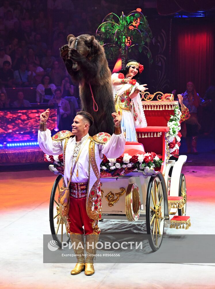 Международный фестиваль циркового искусства "Идол-2025"