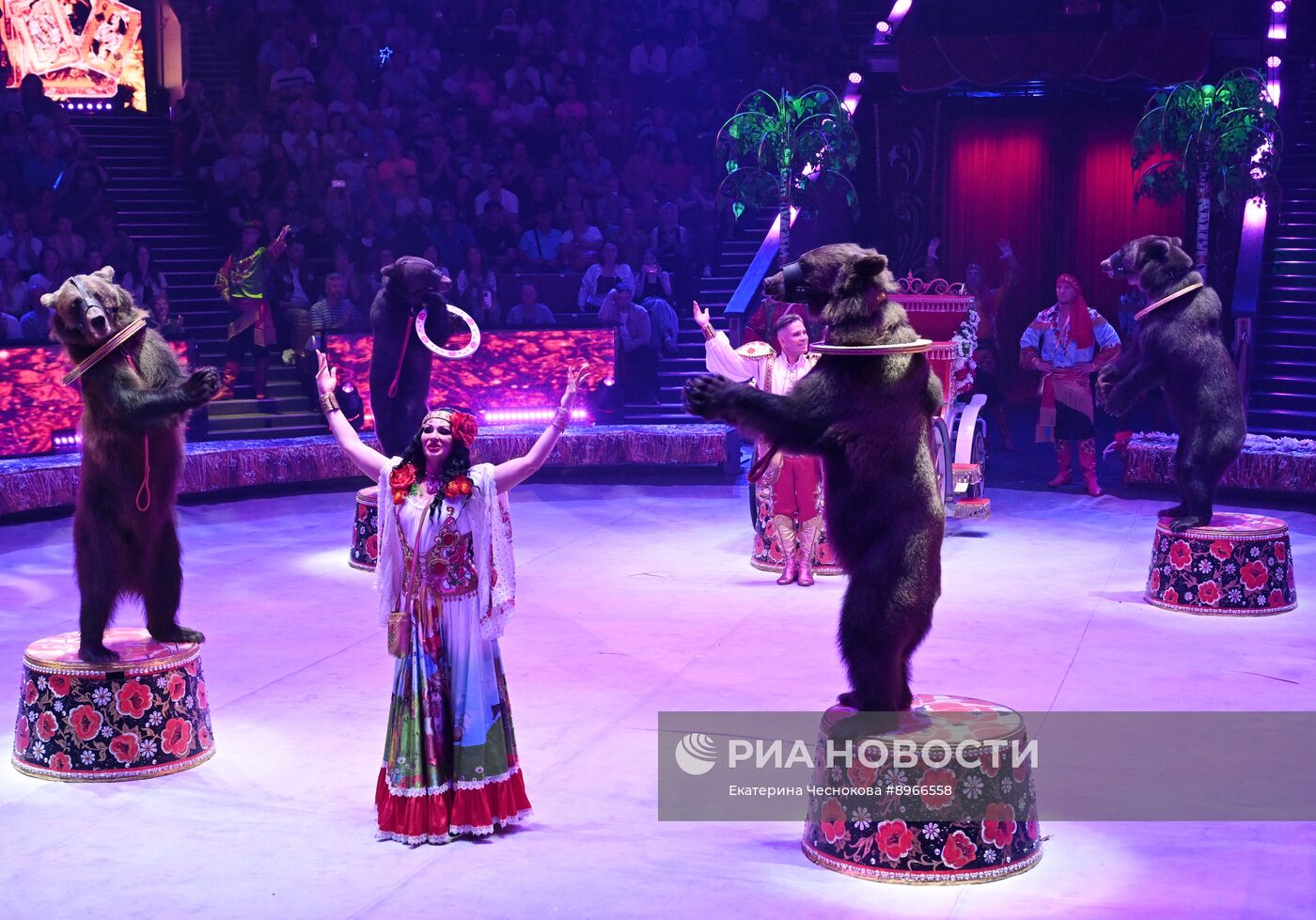 Международный фестиваль циркового искусства "Идол-2025"