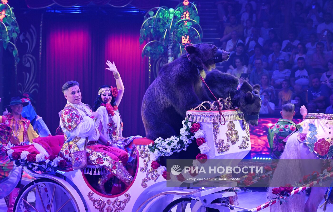 Международный фестиваль циркового искусства "Идол-2025"