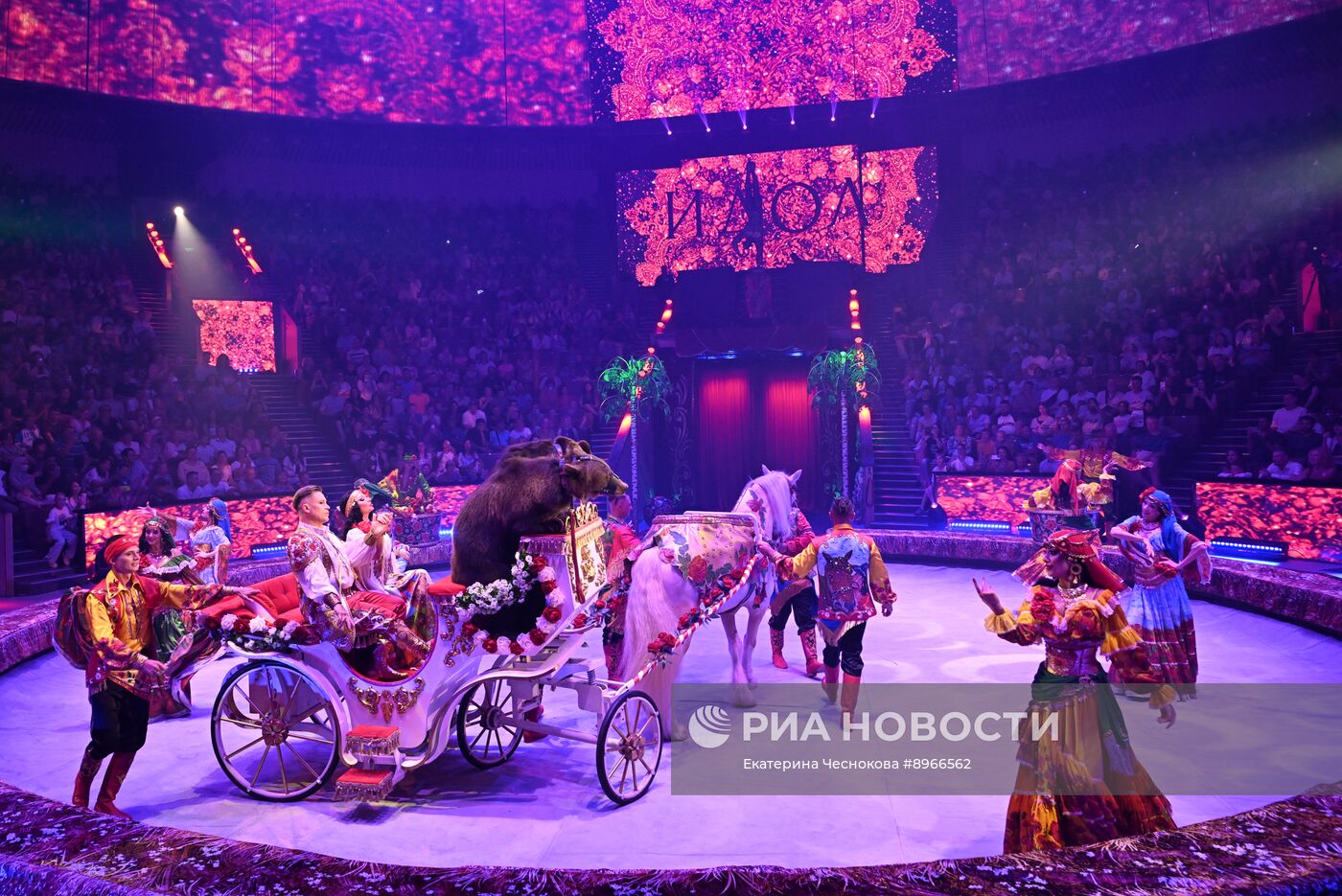 Международный фестиваль циркового искусства "Идол-2025"