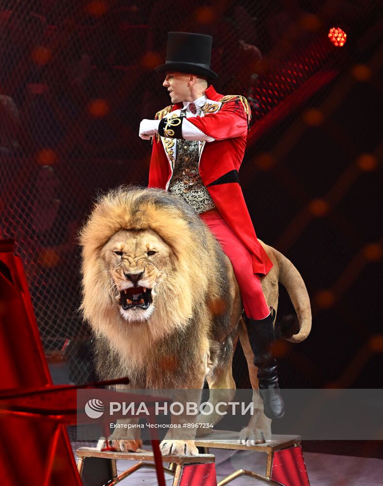 Международный фестиваль циркового искусства "Идол-2025"