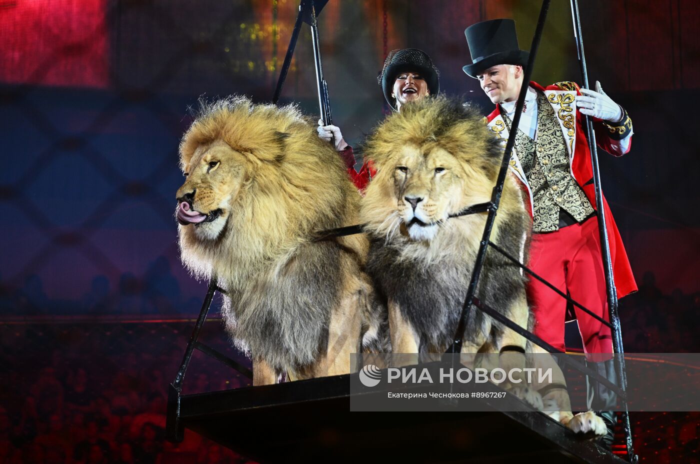 Международный фестиваль циркового искусства "Идол-2025"