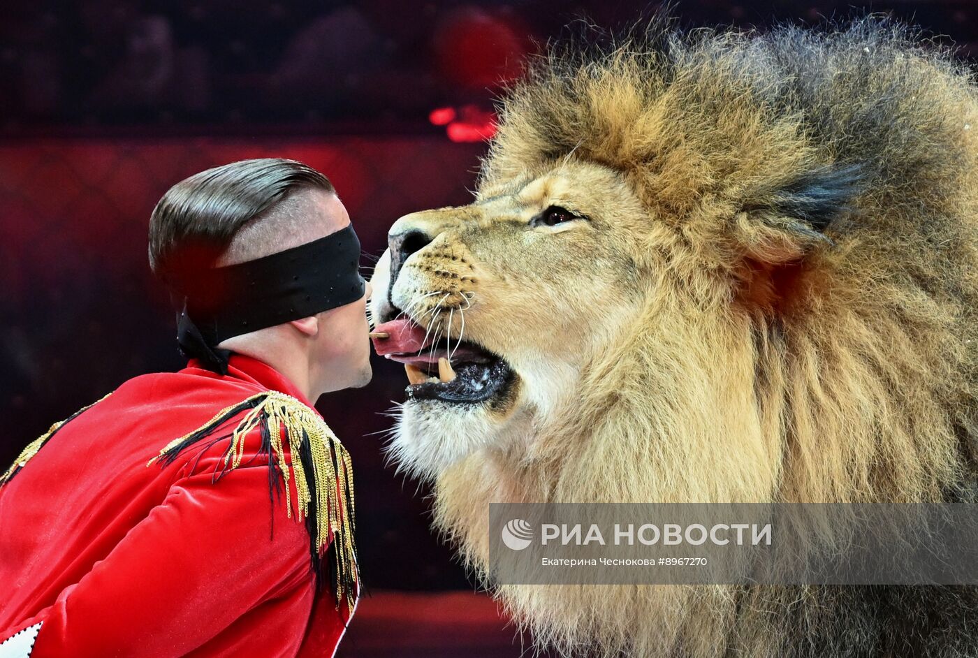 Международный фестиваль циркового искусства "Идол-2025"