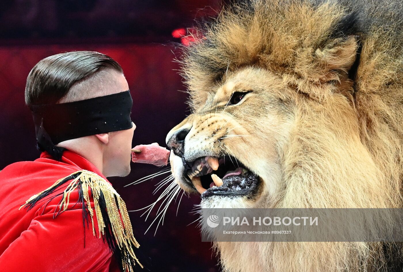 Международный фестиваль циркового искусства "Идол-2025"