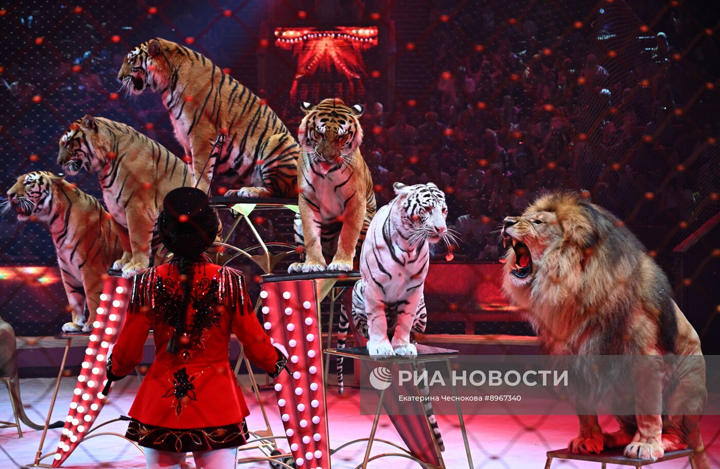 Международный фестиваль циркового искусства "Идол-2025"