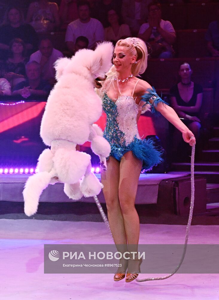 Международный фестиваль циркового искусства "Идол-2025"