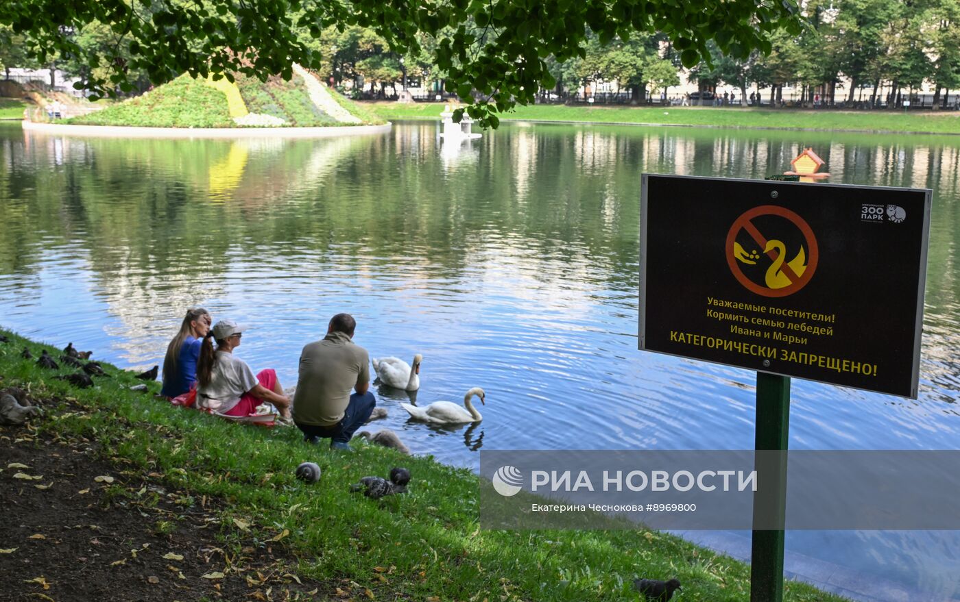 Отдых горожан у Патриарших прудов