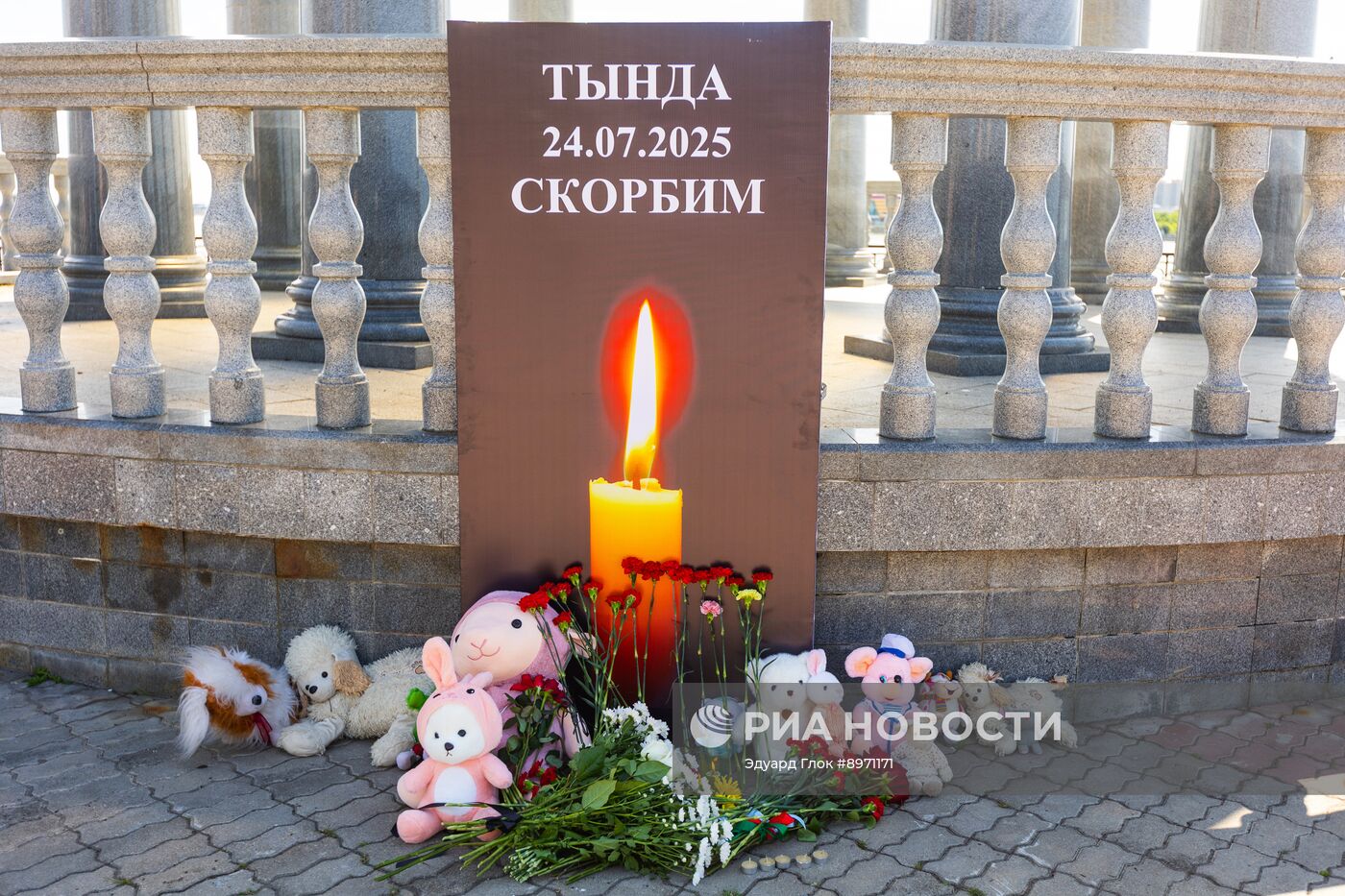 Траур по погибшим при крушении самолета Ан-24 в Амурской области