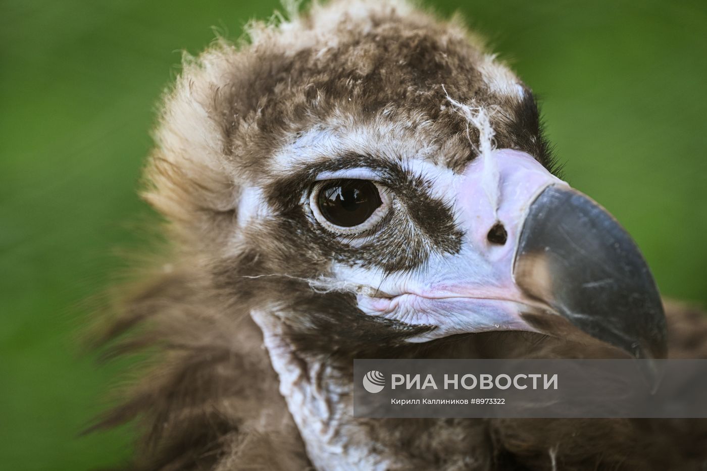 Московский зоопарк