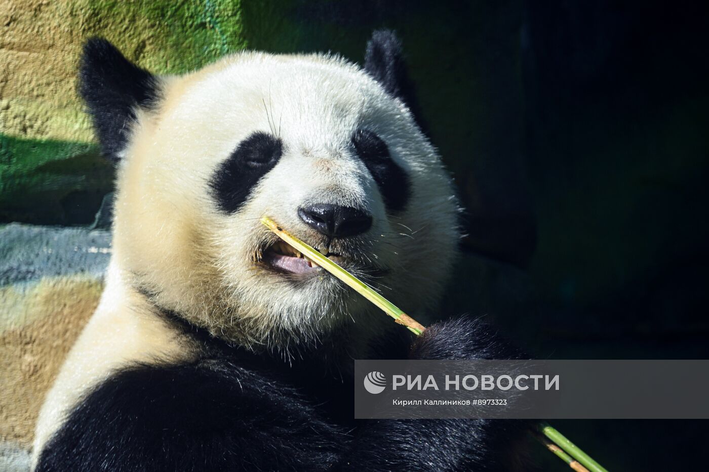 Московский зоопарк