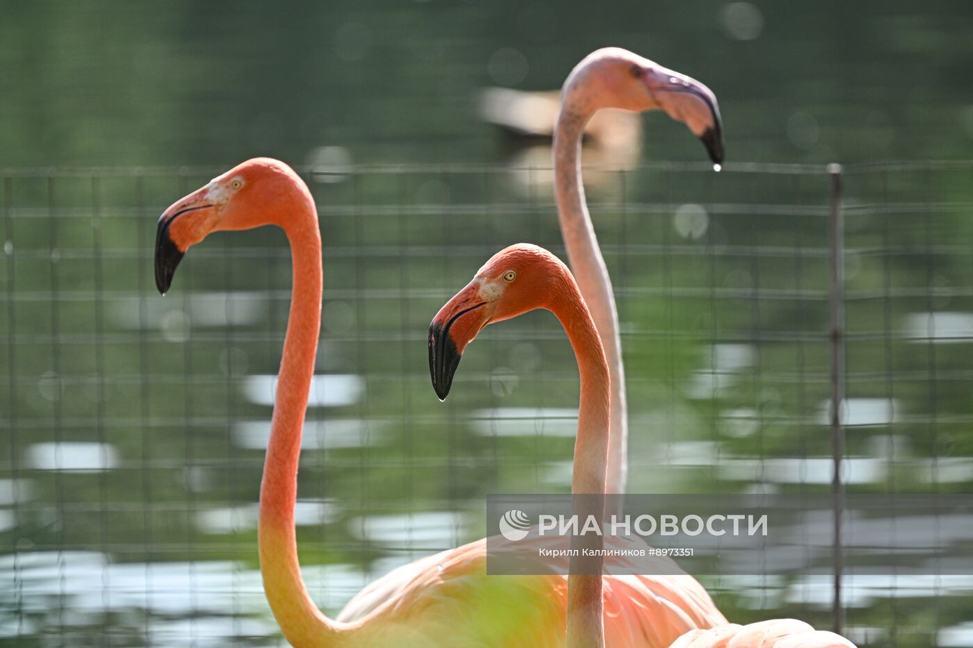 Московский зоопарк