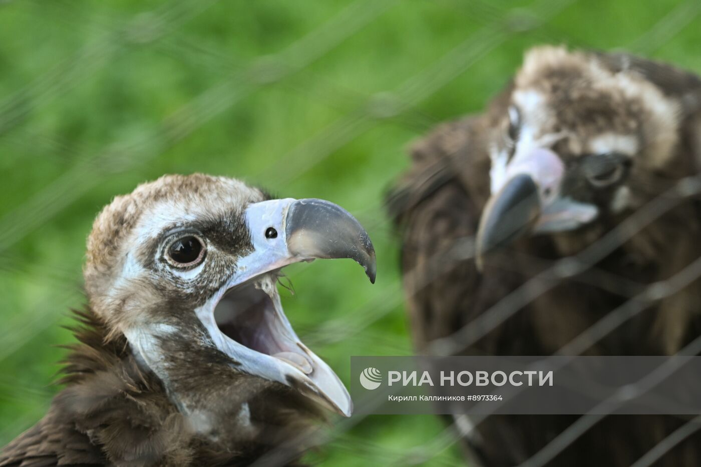 Московский зоопарк