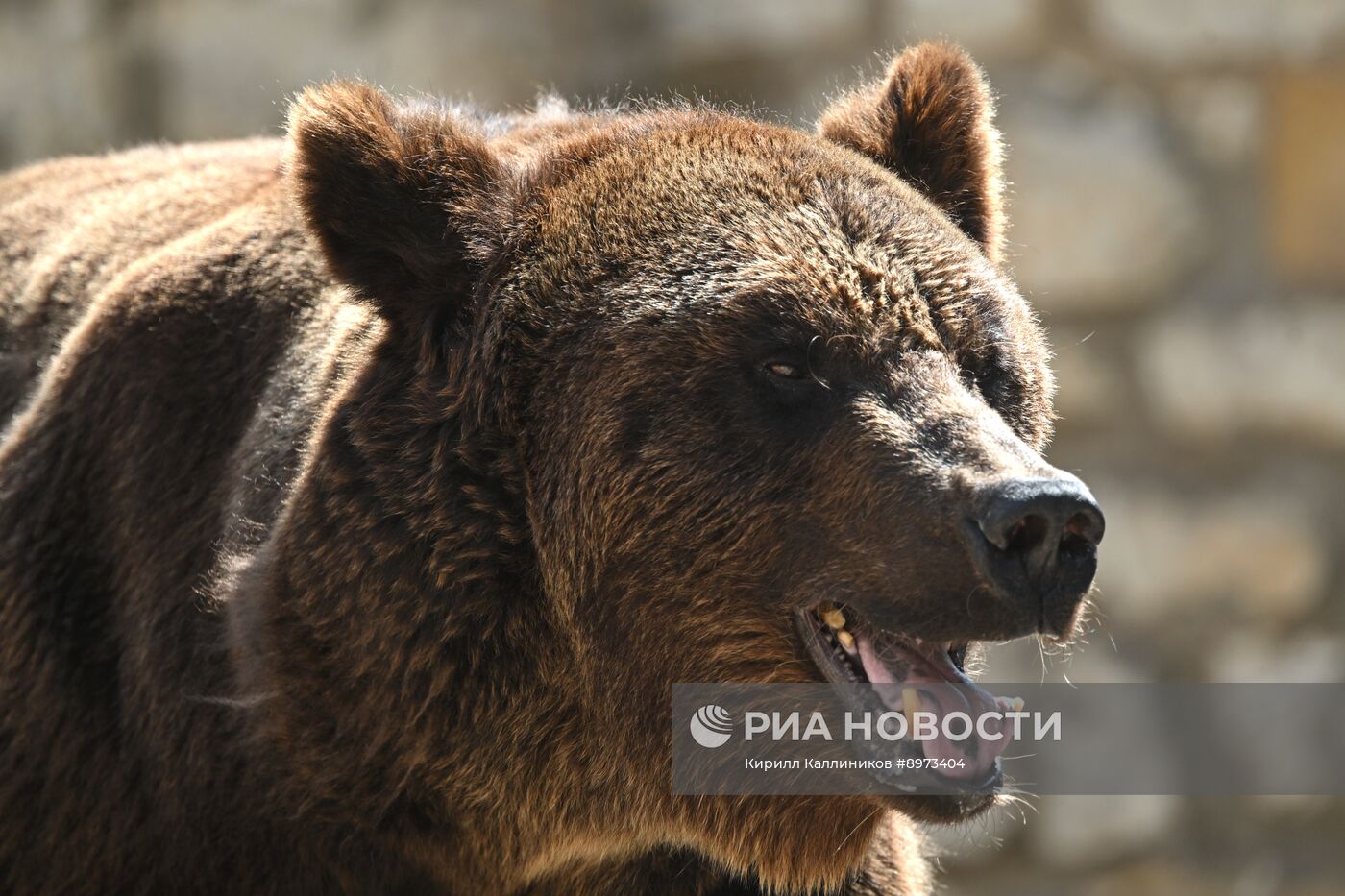 Московский зоопарк