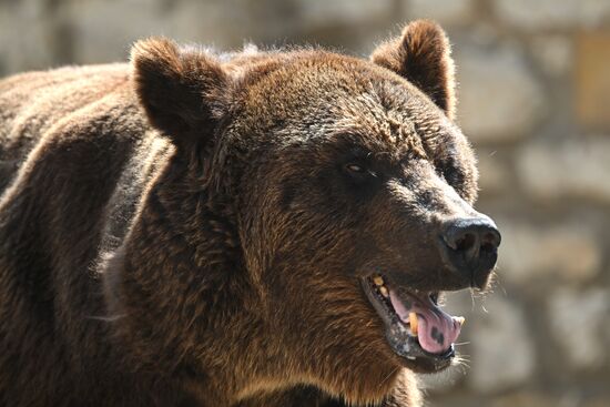 Московский зоопарк