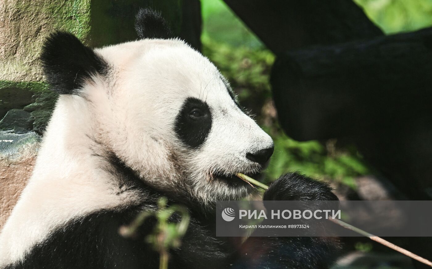 Московский зоопарк