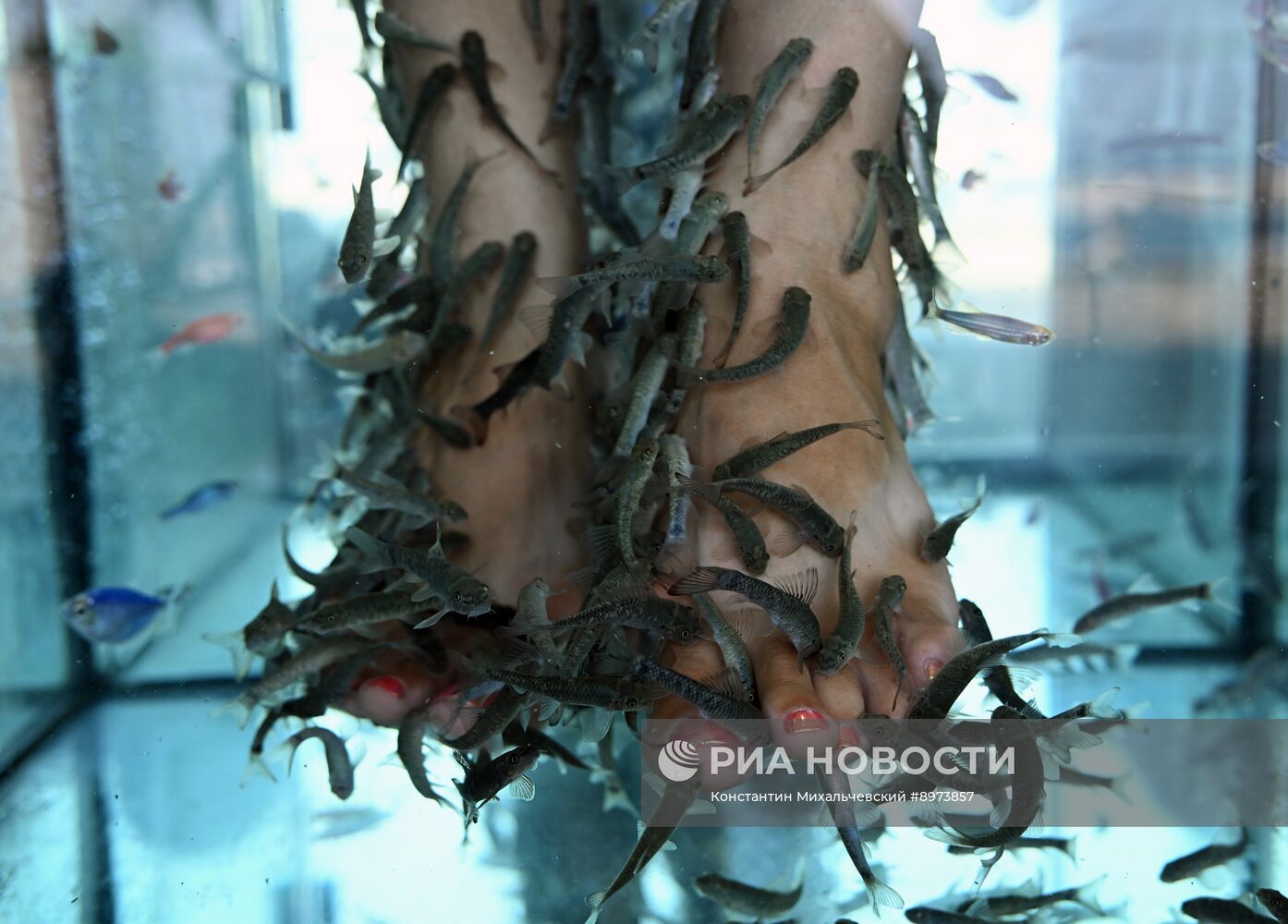 Отдых в Ялте