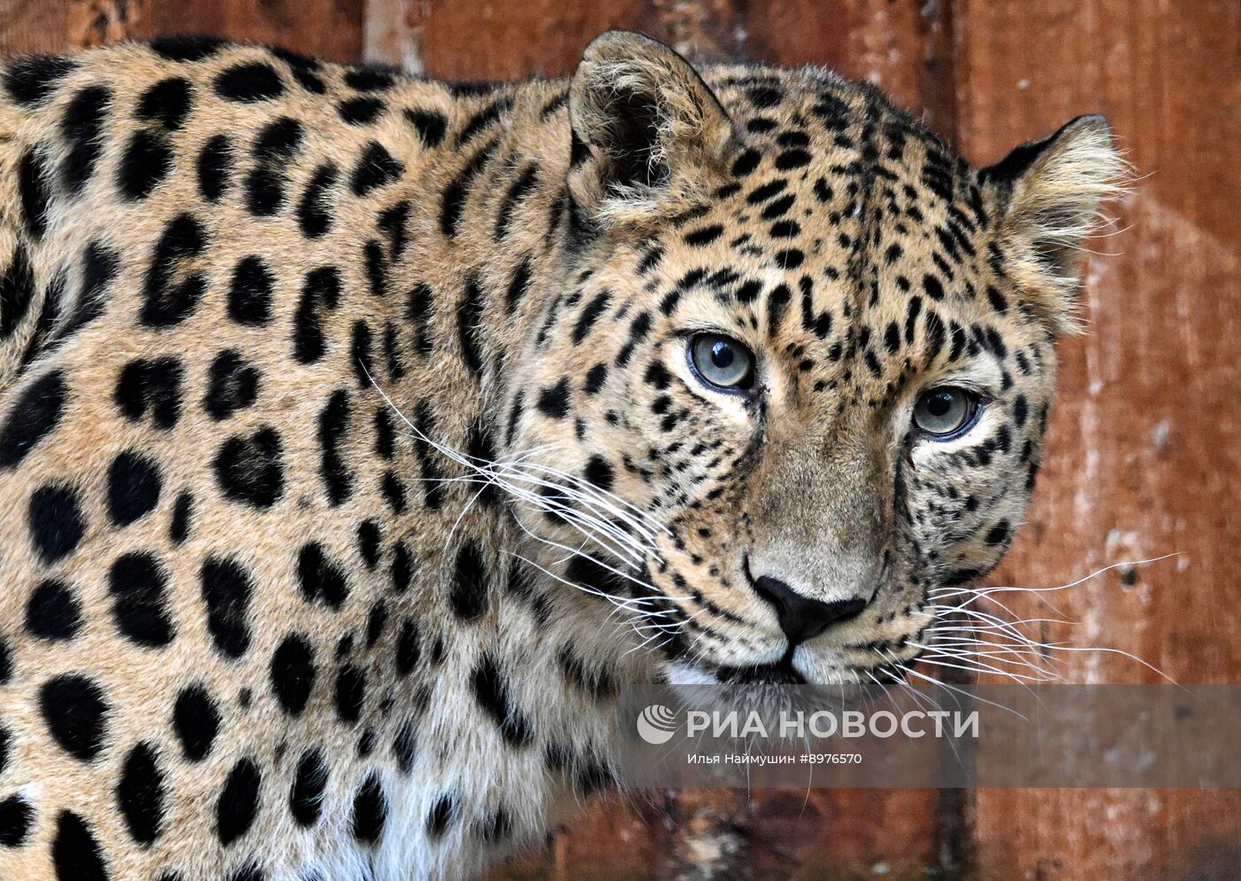 Парк флоры и фауны "Роев ручей" в Красноярске