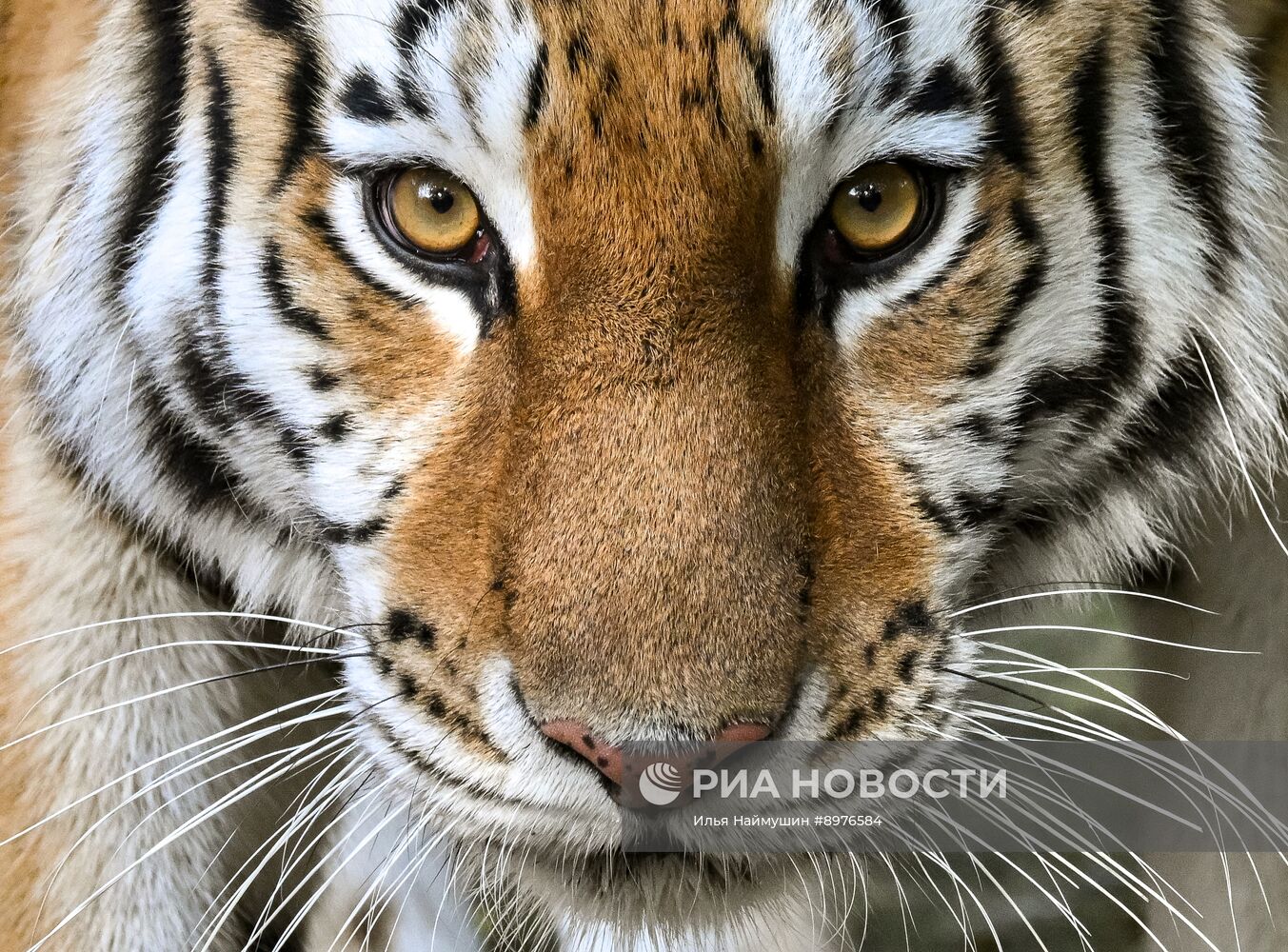 Парк флоры и фауны "Роев ручей" в Красноярске 