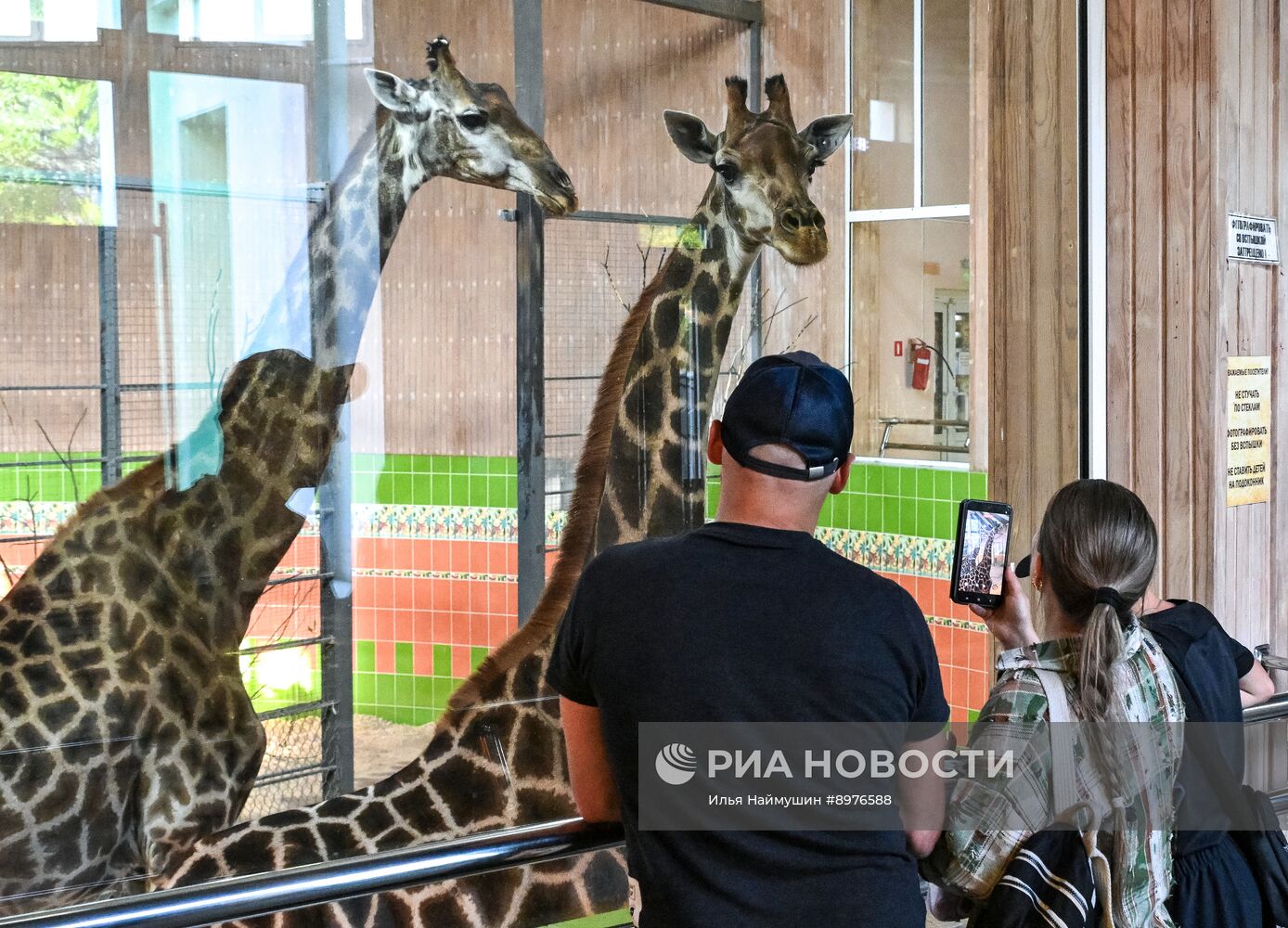 Парк флоры и фауны "Роев ручей" в Красноярске