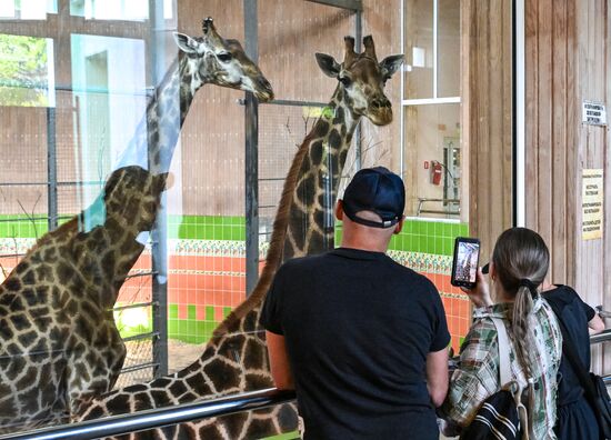 Парк флоры и фауны "Роев ручей" в Красноярске 