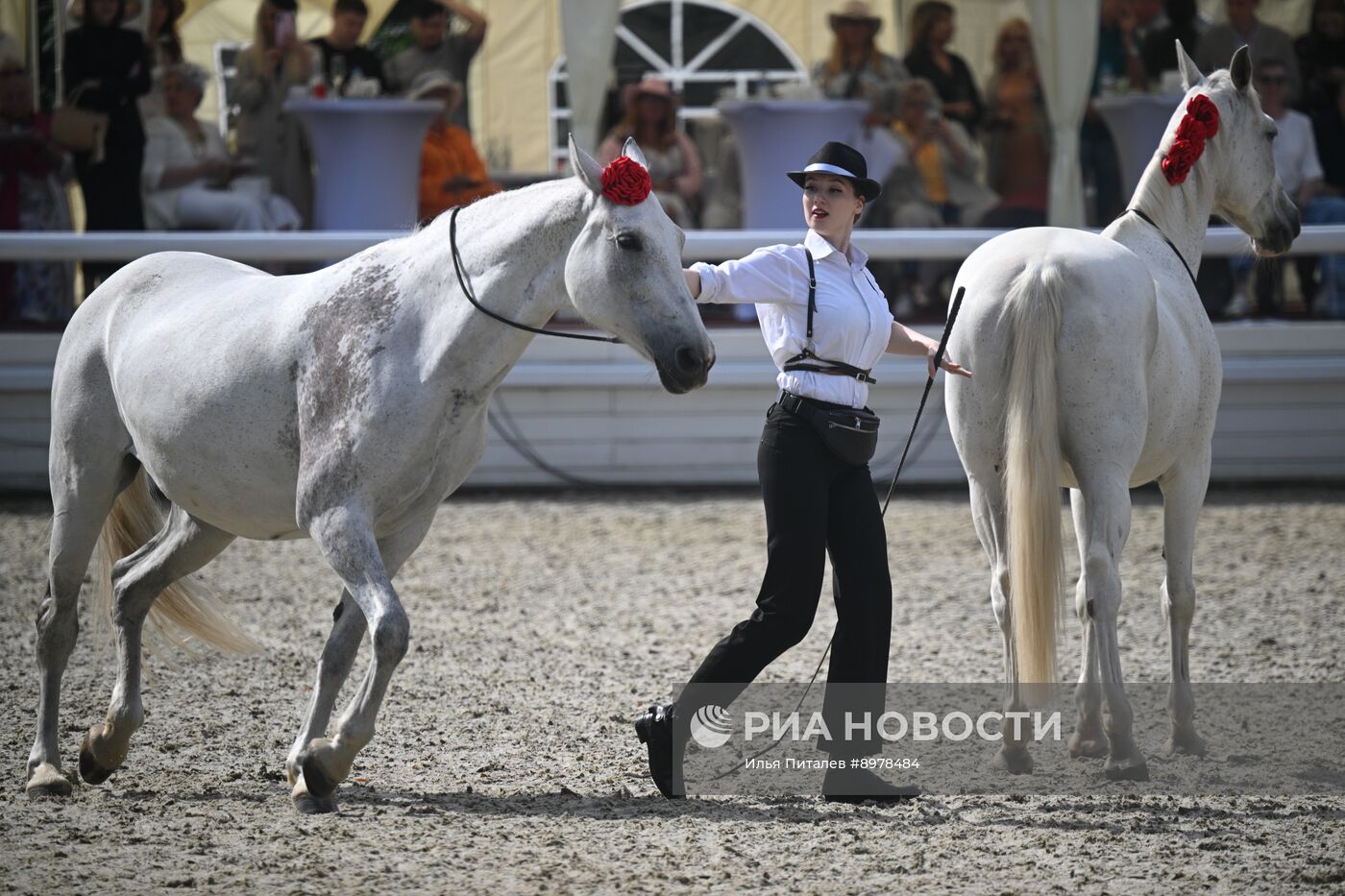 V Чемпионат русских троек "Крылатое сердце России" на Московском конном заводе №1