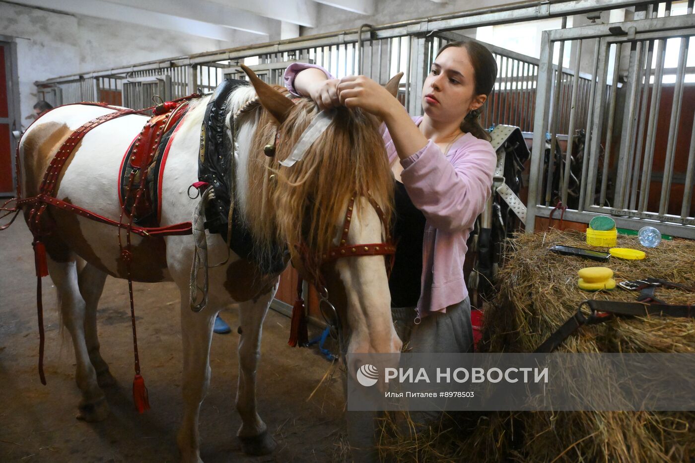 V Чемпионат русских троек "Крылатое сердце России" на Московском конном заводе №1