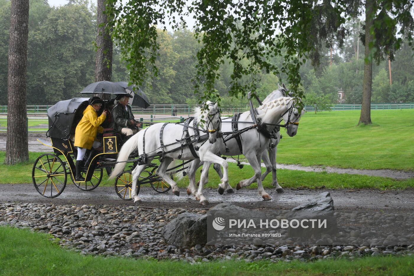 V Чемпионат русских троек "Крылатое сердце России" на Московском конном заводе №1