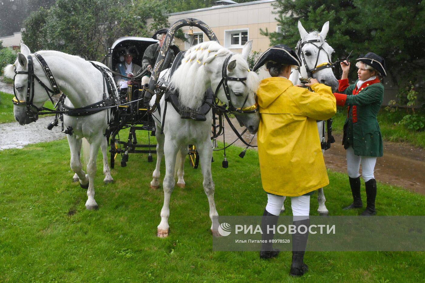 V Чемпионат русских троек "Крылатое сердце России" на Московском конном заводе №1