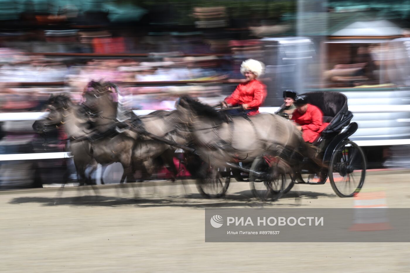 V Чемпионат русских троек "Крылатое сердце России" на Московском конном заводе №1