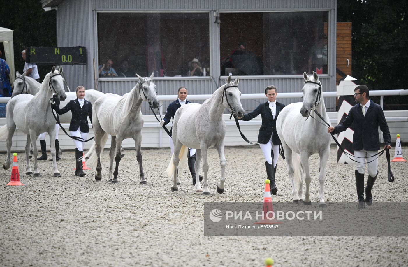 V Чемпионат русских троек "Крылатое сердце России" на Московском конном заводе №1