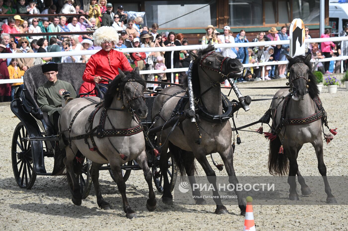 V Чемпионат русских троек "Крылатое сердце России" на Московском конном заводе №1