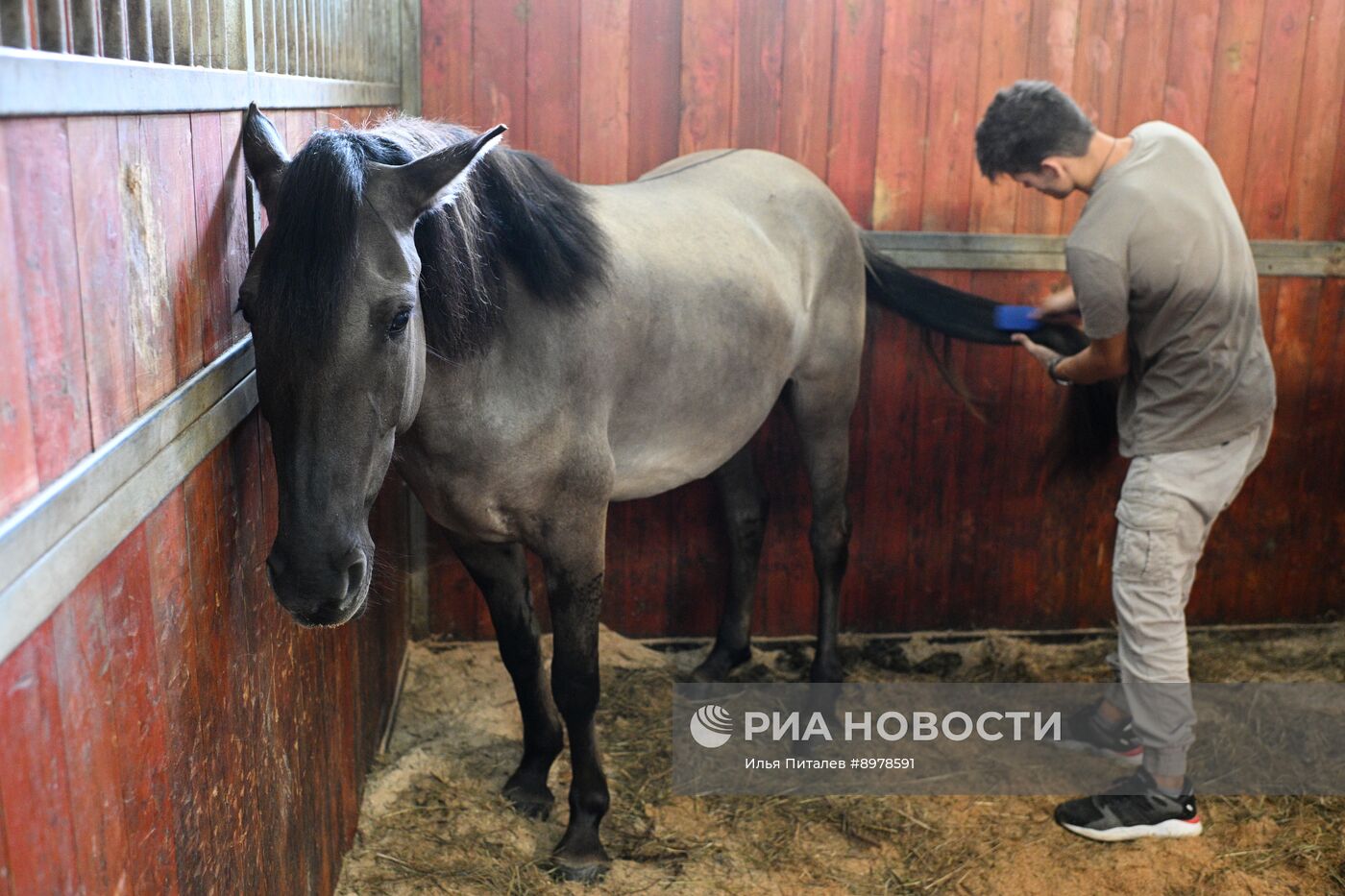 V Чемпионат русских троек "Крылатое сердце России" на Московском конном заводе №1