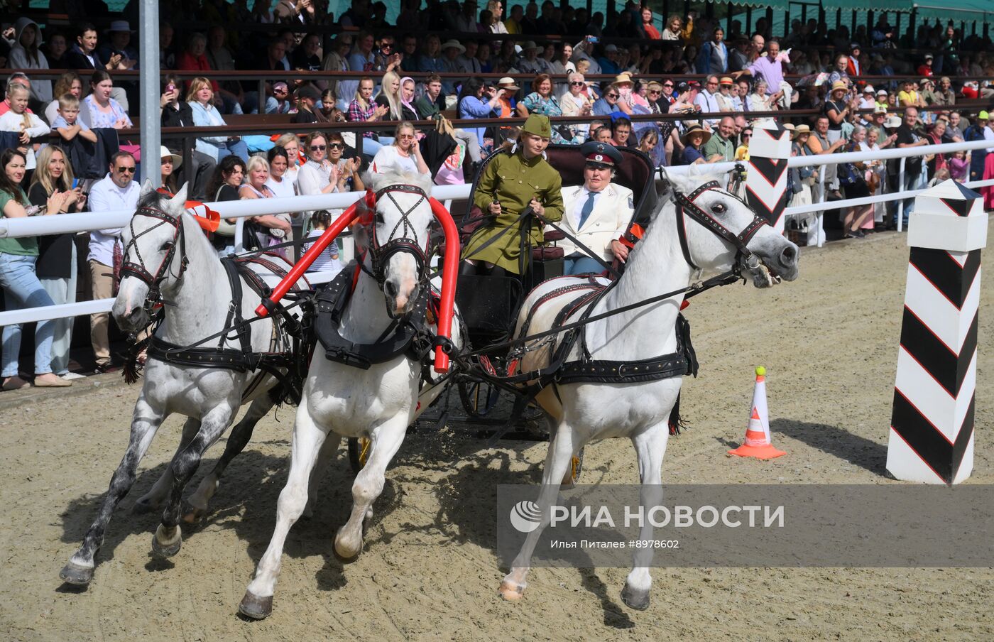 V Чемпионат русских троек "Крылатое сердце России" на Московском конном заводе №1