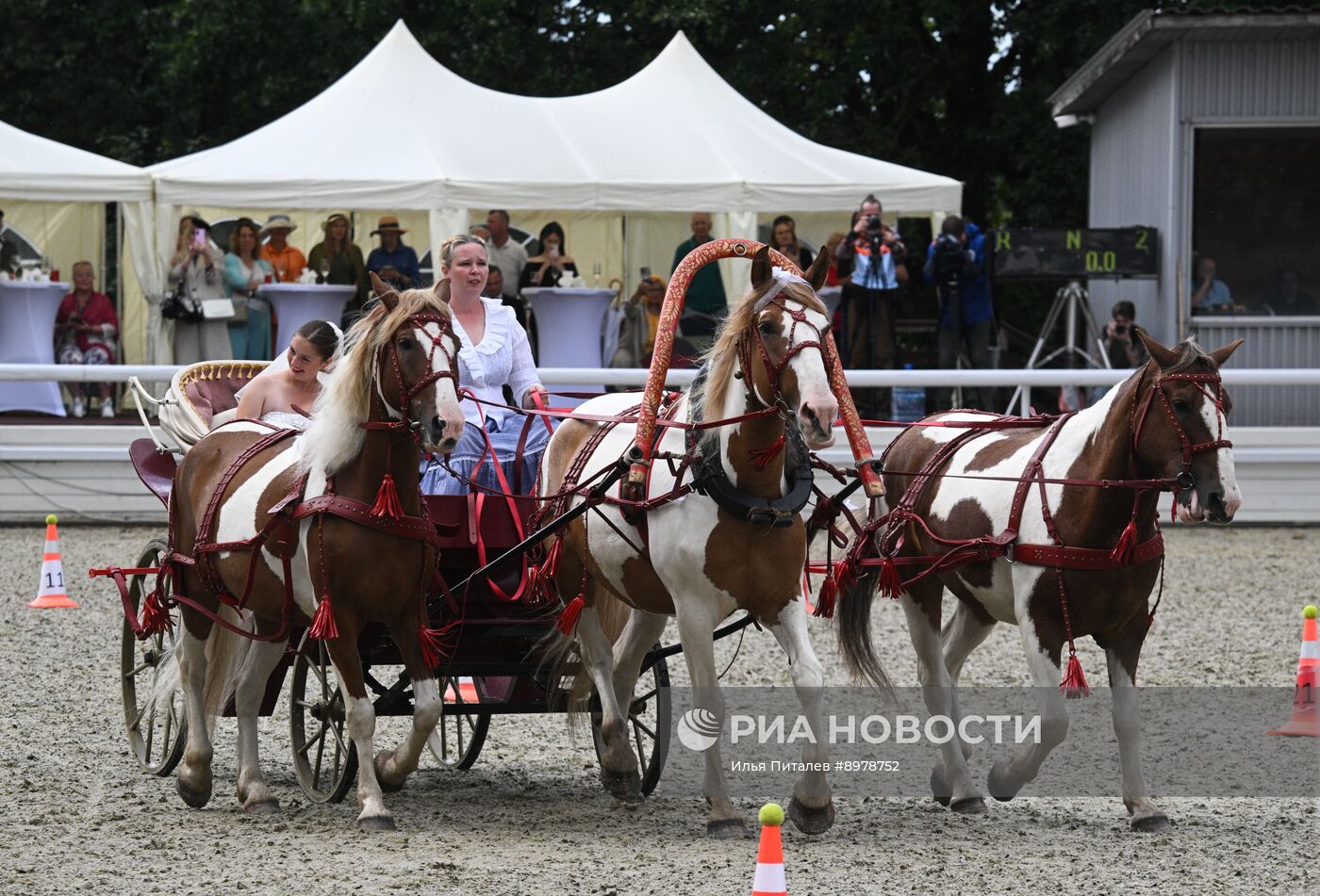 V Чемпионат русских троек "Крылатое сердце России" на Московском конном заводе №1
