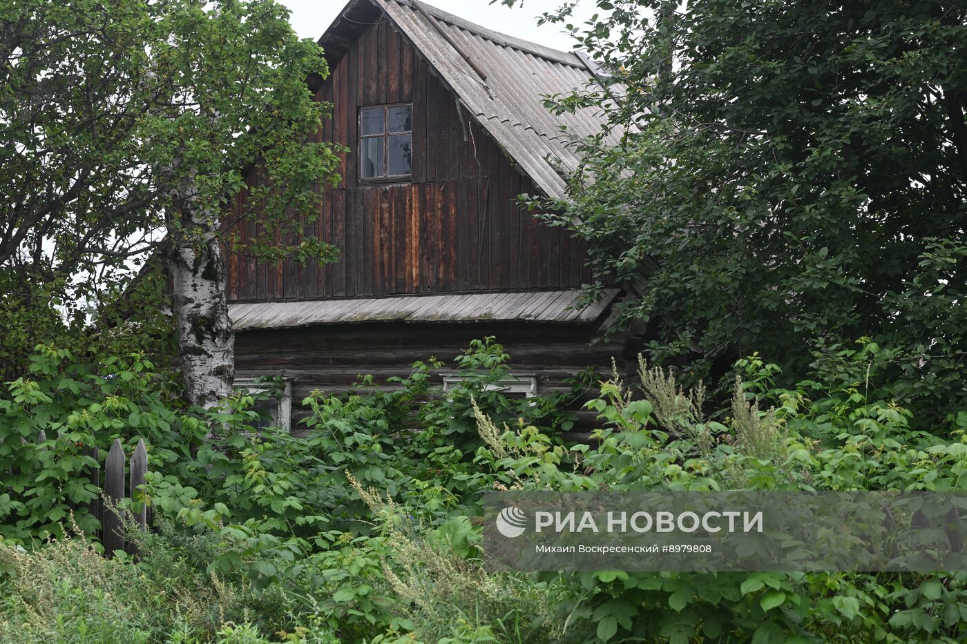 Регионы России. Камчатский край