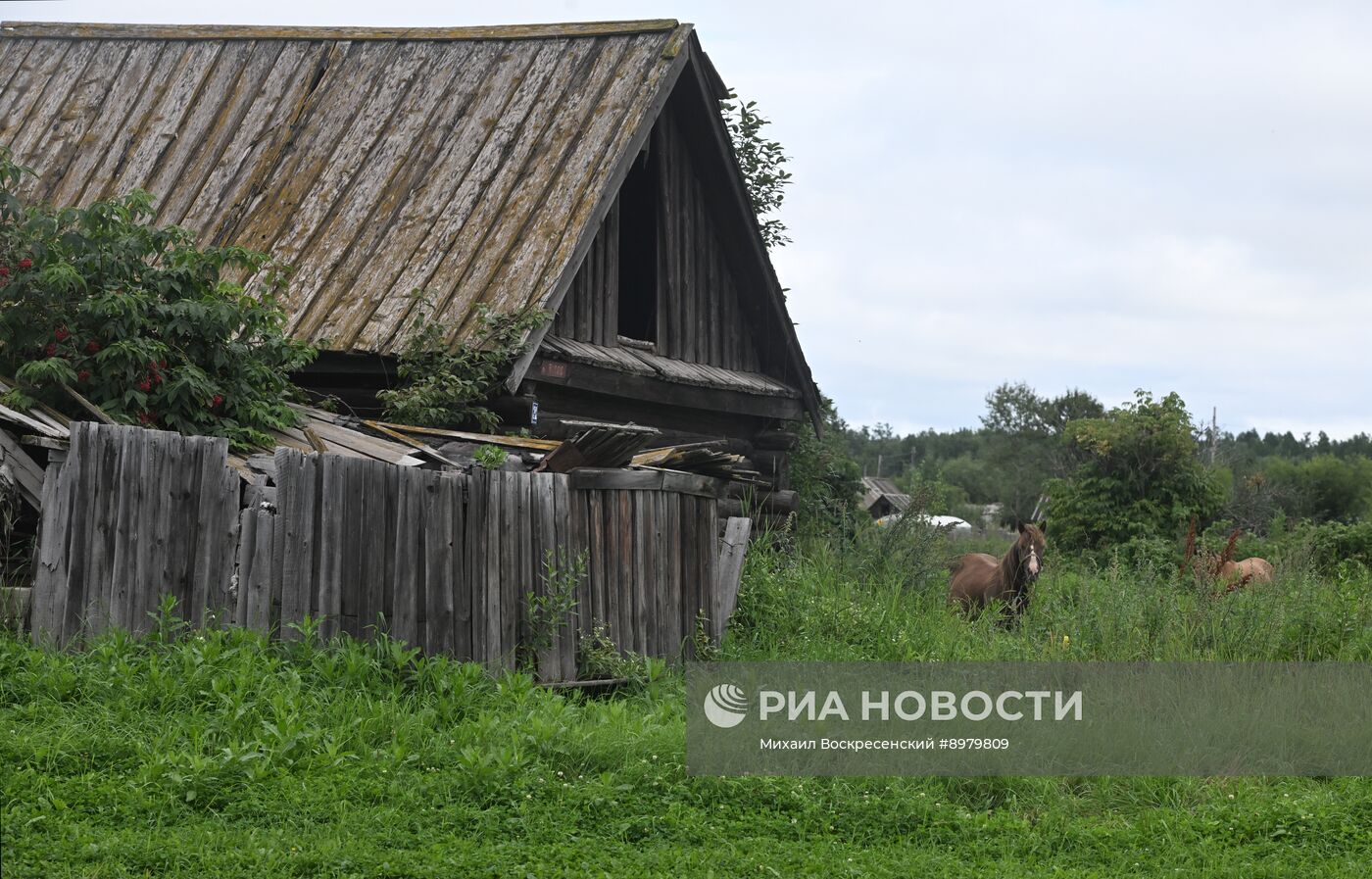 Регионы России. Камчатский край